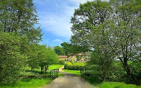 Old Orchard Cottage, Wykeham