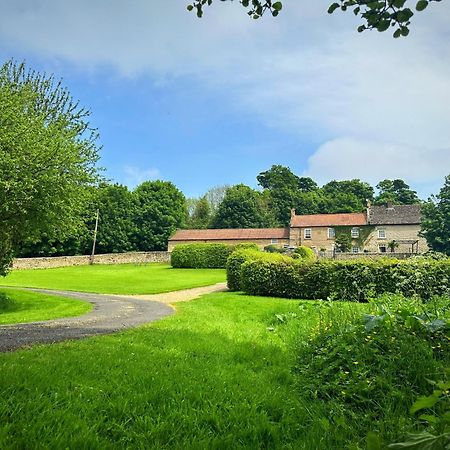 Old Orchard Cottage, Wykeham Scarborough Exterior photo