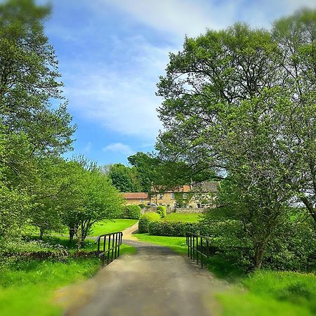 Old Orchard Cottage, Wykeham Scarborough Exterior photo
