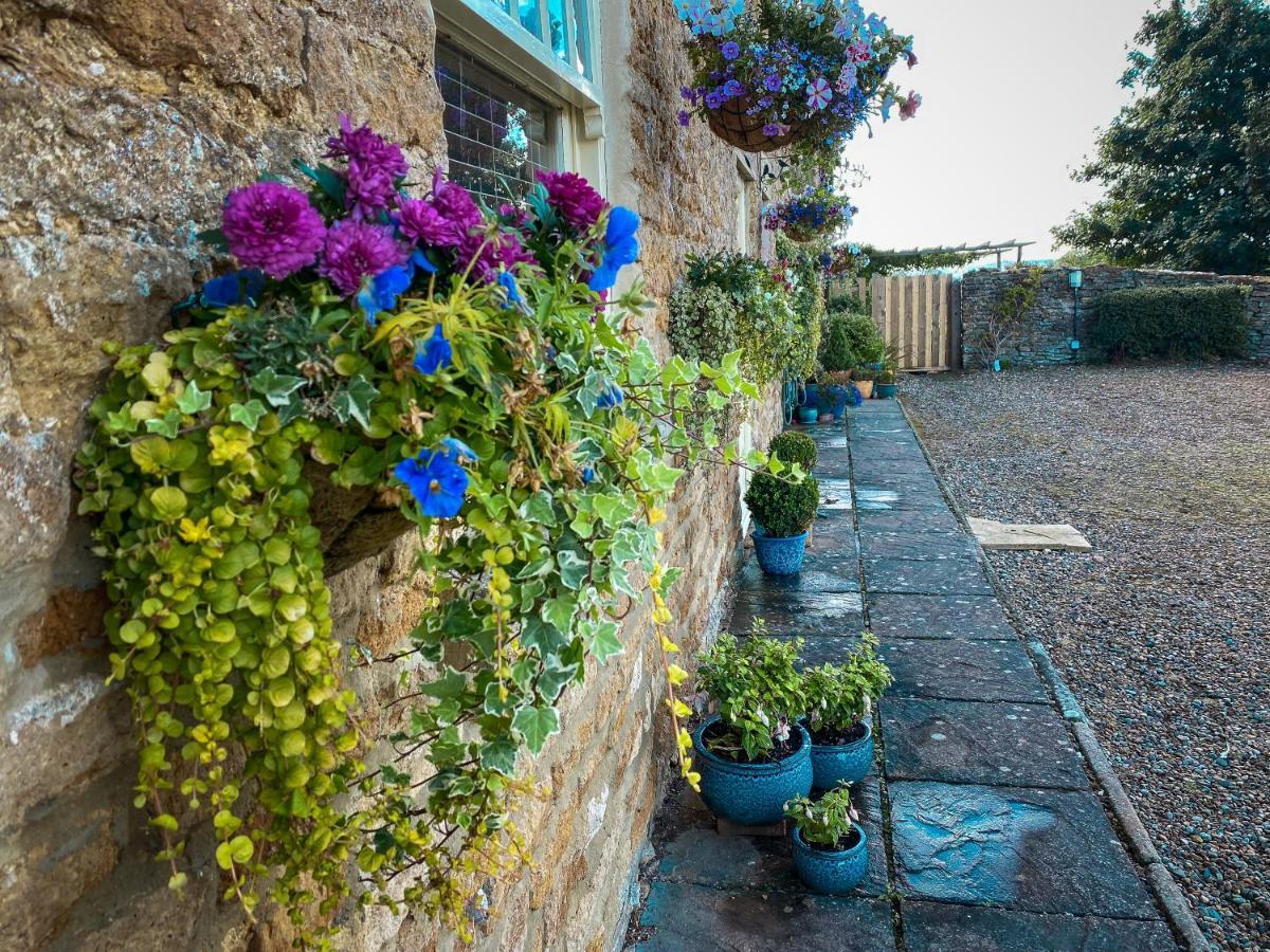Old Orchard Cottage, Wykeham Scarborough Exterior photo